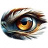 Profilbild von See! Why?
