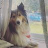 Brianna N's profile picture