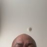 エピフォン's profile picture