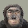 Profilbild von Зөв л байя