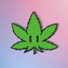 Profilbild von Cannabis Virtual