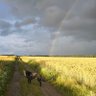 Фото профиля f_r_v_r_fcu
