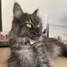 Profilbild von Selina la loca