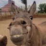 Profilbild von CHAMPION-ZONE
