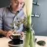 Silvestro profil fotoğrafı