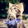 𝕪𝕦𝕜𝕚 profil fotoğrafı