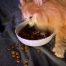 Фото профиля lickingmymfmuzzle