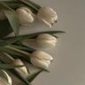 فُـوزِيـّة 🌱 的头像