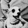 Richard Korolev 的头像