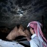 Profilbild von عبدالعزيز القحطاني 🇸🇦