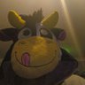 Neil Grane's profile picture
