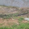 washed min alnas profil fotoğrafı