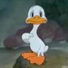 Profilbild von Manas