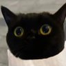 Profilbild von Javier