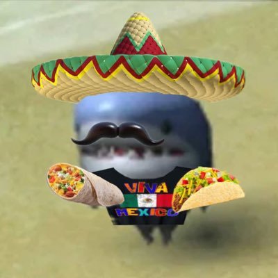 MMA 🦈's profile picture