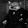 Adam Corolla's profile picture