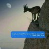 Фото профиля 🎥وثائقى 🎥في دقيقة 🎥