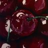 Фото профиля -