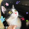 Фото профиля x!ao_ming
