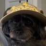 Profilbild von Keylay (Ball Knower)