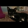 Pepper’s Mom's profile picture