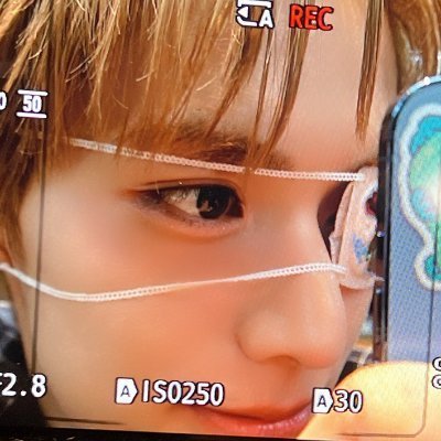 진심's profile picture
