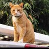 pui's profile picture