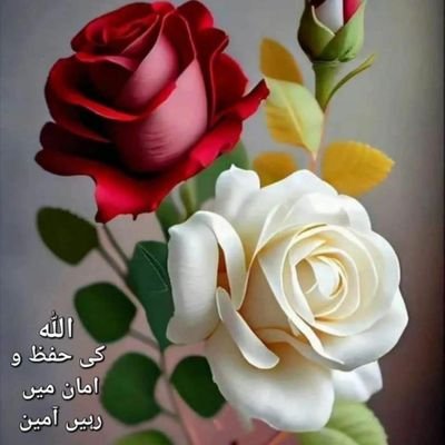 infra (FB.100%)'s profile picture