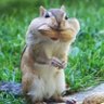 お〜じろう's profile picture