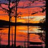 Kayak lover's profile picture