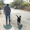 Darpan (A.D) profil fotoğrafı