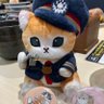 Profilbild von 藤代久美