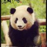 傻娃锦's profile picture