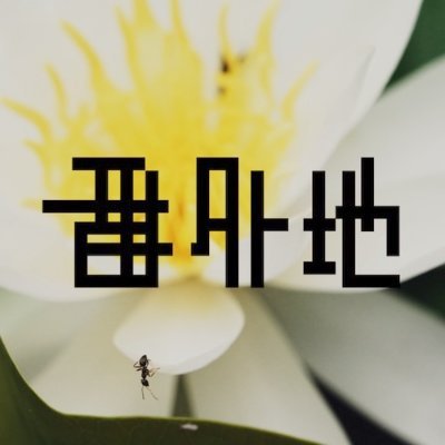 bangaichi_info's profile picture