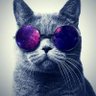 ⁦🇵🇷⁩عزيز♌'s profile picture