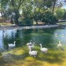 kurir profil fotoğrafı