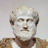 captain_grenville's profile picture