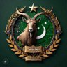 Nouman usmani's profile picture