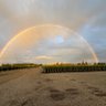 Фото профиля Keith Richman