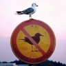 Profilbild von Headzaum