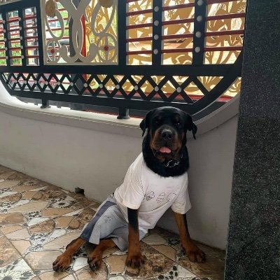 namtran75221272's profile picture