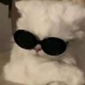 Profilbild von ray
