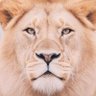 りりり profil fotoğrafı