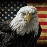 Frank Rizzo's profile picture