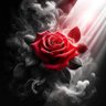 Emad Mohmmad profil fotoğrafı