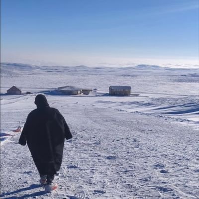 Mehmet Emin's profile picture