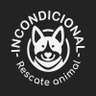 Incondicional 🐶💕🐱 的头像