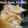 Trump_Won_2020's profile picture