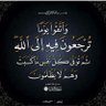 Фото профиля Omar Amen