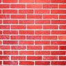 Beans's profile picture